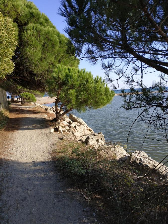 Charmant Appartement A 350M De La Plage Et Du Port Fréjus Dış mekan fotoğraf