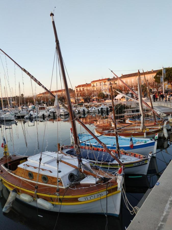 Charmant Appartement A 350M De La Plage Et Du Port Fréjus Dış mekan fotoğraf